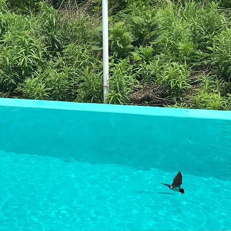 Jeju 2Jj Hotel Szogüpho Kültér fotó
