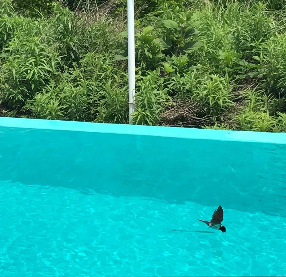 Jeju 2Jj Hotel Szogüpho Kültér fotó